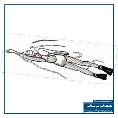 عکس 1 از مقاله شنای کرال سینه - جلسه 7 | شناآموز
